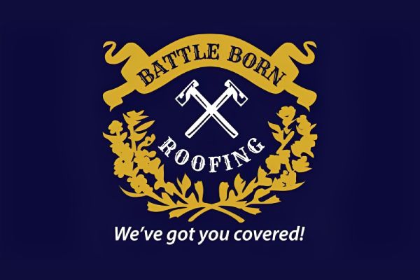 Battle Born Roofing, Ltd., NV