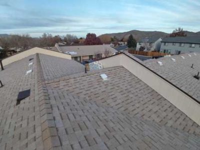 Damaged Roof Shingles