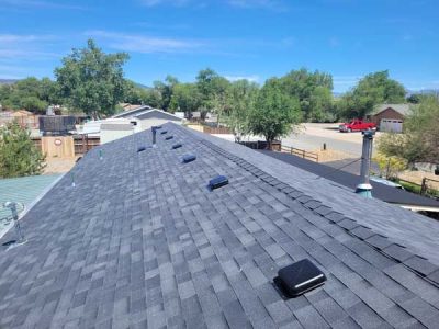 Shingle Roof Maintenance